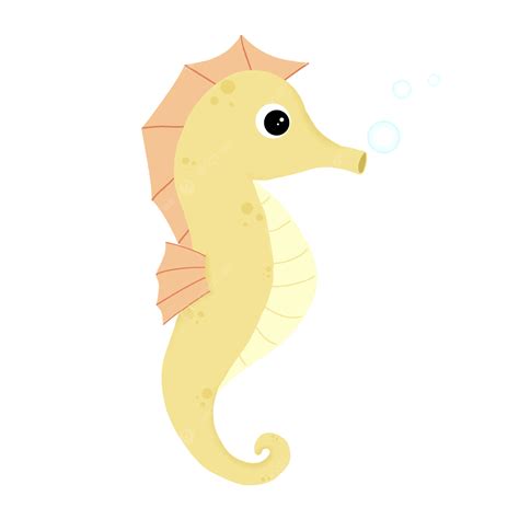 Yellow Seahorse, Seahorse, Seahorses, Marine Life PNG Transparent