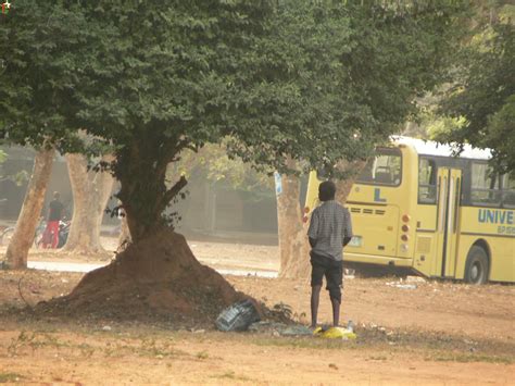 Le Bal Des Pisseurs Au Togo