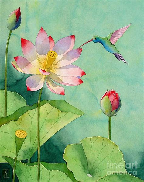 Lotus And Hummingbird Painting By Robert Hooper
