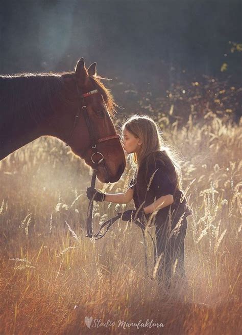 25 Horse Photography Tips Take Great Equine Photography Horse Senior