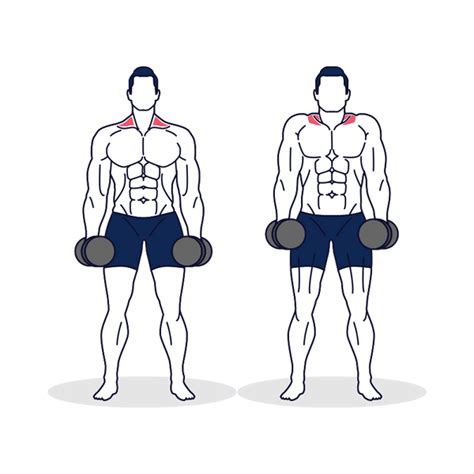 How To Do Dumbbell Shrugs With Proper Technique Simply Fitness