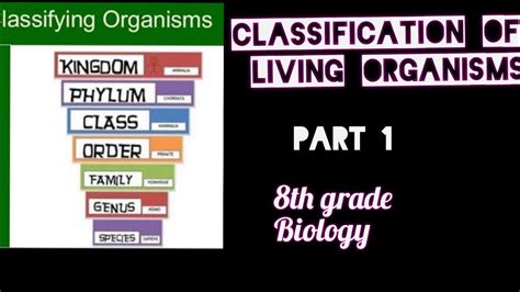 Classification Of Living Organismspart 1 8 Th Grade Youtube
