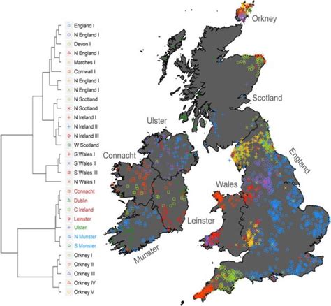 New Irish ‘dna Atlas Maps Genes Of The People Of Ireland