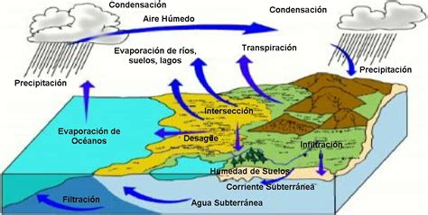 Corrientes Marinas Y Oceánicas Fundamentales Para El Clima Y La Vida