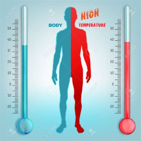 Como O Ser Humano Mantem Sua Temperatura Corporal