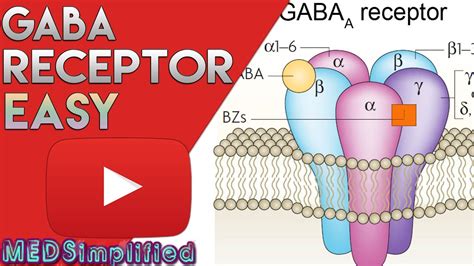 Discussion of benzos actions on gaba receptors and it actions on the chloride ions channels. GABA Receptor( BZD) - Structure and Mechanism of Action ...