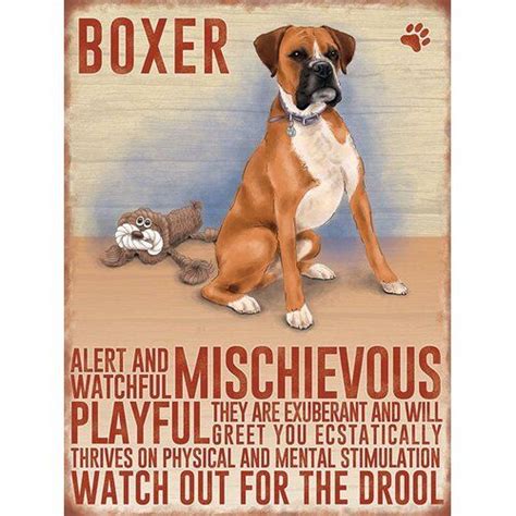Pin By Sally Evans On 1 Alle Hunde Und Tipps Boxer Dogs Funny Boxer