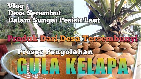 Proses Pengolahan Gula Kelapa Youtube