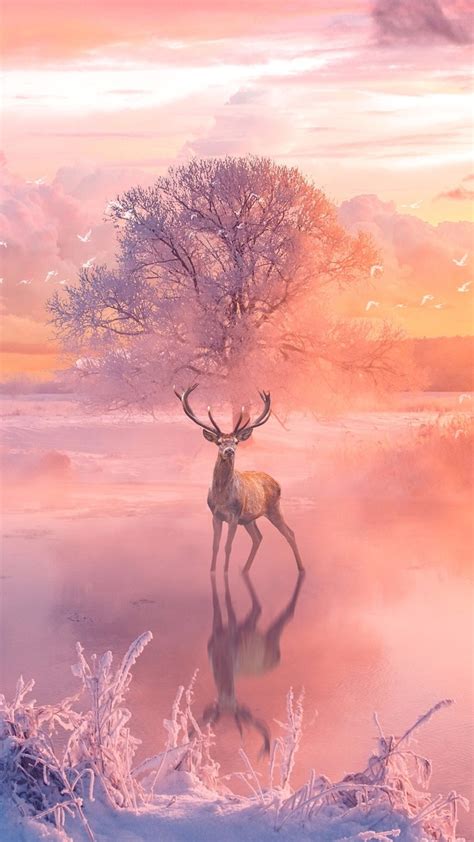1080x1920 Reindeer Animals Artist Artwork Digital Art Hd Fantasy