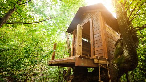 .ensión de 3.640 metros cuadrados, lo que convierte la casa en muy apropiada para los que viajan con niños. 'Cómo hacer una casa en un árbol', de Carter Higgins i ...