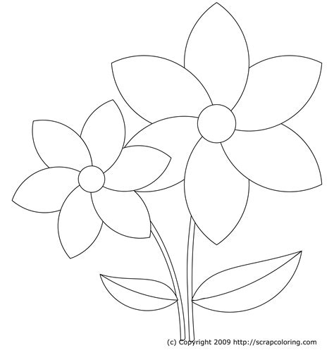 Free Flower Petals Coloring Pages Coloring Home