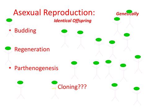 Asexual Vs Sexual Reproduction Presentation And Notes By Scienceville