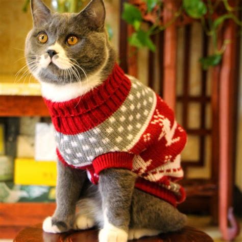 Cute Cat Sweater Costume Winter Warm Pet Clothes Cat Clothing For Cats