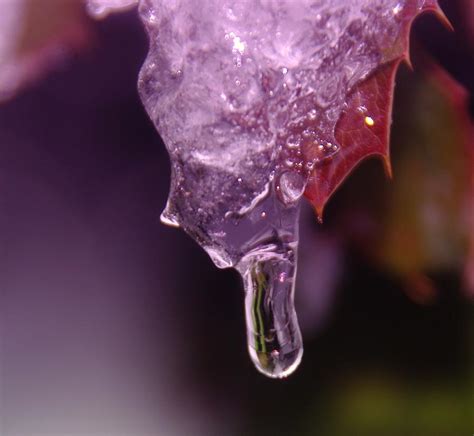 Ice Melting Photograph By Jeff Swan