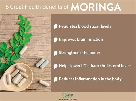 An Infographic On The Health Benefits Of Moringa Moringa Benefits