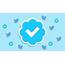 Twitter To Remove Verification Badges Of Users Who Flout Rules 