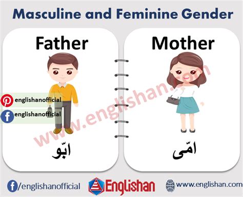 Masculine And Feminine Gender 1000 Examples And List Learning English