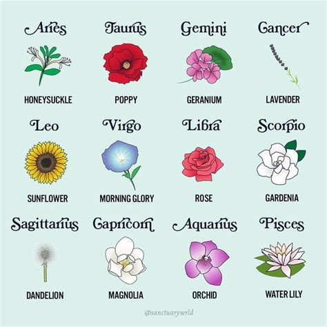 Sanctuary On Instagram “flowers For Spring Groundbreaking What Signs Are In Your Garden 🌺🌷🌻
