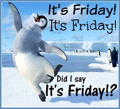 I Am So Excited Its Friday Friday Quotes Funny Friday Pictures Its