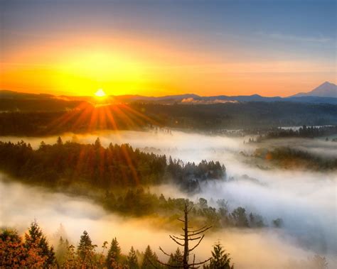 Wallpaper Morning Mist Mountain Sunrise 2560x1600 Hd Picture Image