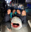 Cast of 47 Meters Down: Uncaged - Horror Actresses Photo (43013804 ...