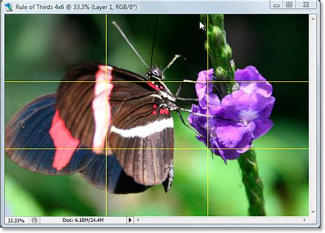 Crop Images In Photoshop With The Rule Of Thirds