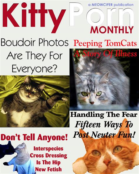 Kitty Porn 4 Freeones Board The Free Munity
