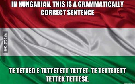 Memes about hungry and related topics. Miraculous curiosities of the Hungarian language - Daily ...