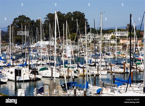 Santa Cruz Hafen Santa Cruz Kalifornien August 2006 Stockfoto Bild