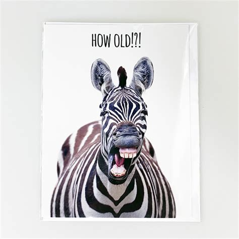 Zebra Birthday Card Zebra Birthday Zebra Animal Illustration Zebra