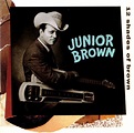 Junior Brown – 12 Shades Of Brown (1993, CD) - Discogs