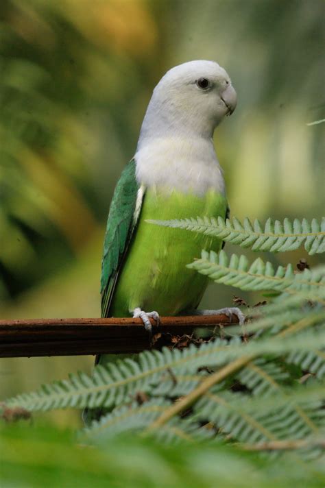 How to Make an Interesting Art Piece Using Tree Branches | eHow | Pet