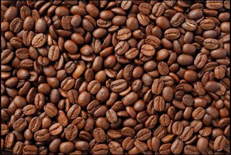 Optical Illusions Can You Spot The Famous Faces In These Coffee Bean
