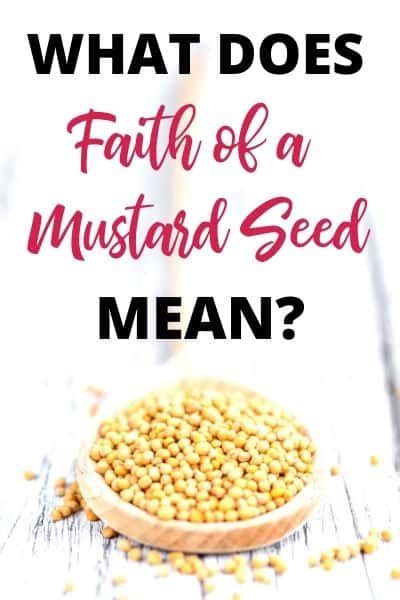 What Does Faith Of A Mustard Seed Mean