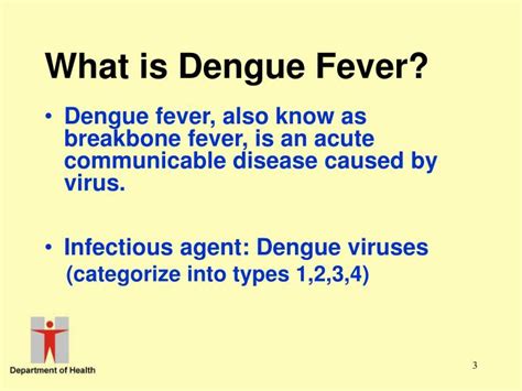 Types Of Dengue Fever Faceholy