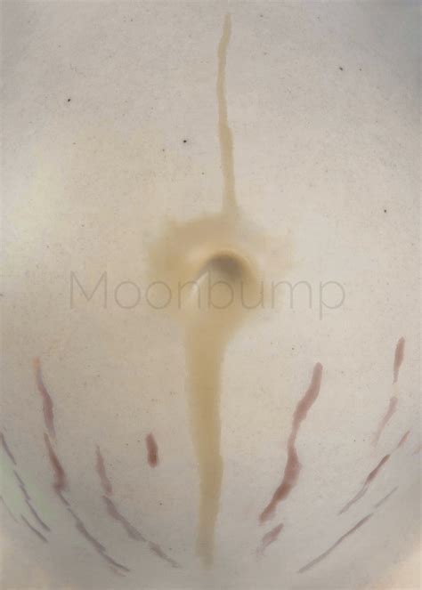 Fake Maternity Belly 7 8m Warm Ivory Xs Moonbump®