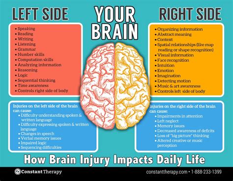 Right Brain Vs Left Brain Brain Injury Awareness Brain Injury