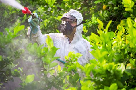 Toxic “forever Chemicals” Present In Most Pesticides •