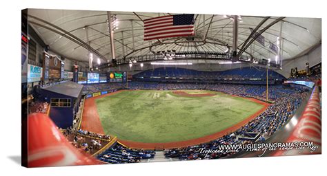 Tropicana Field Tampa Bay Rays Tbt Party Deck