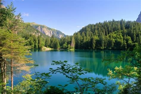 Visit Trentinos Most Beautiful Lake Lago Di Tovel