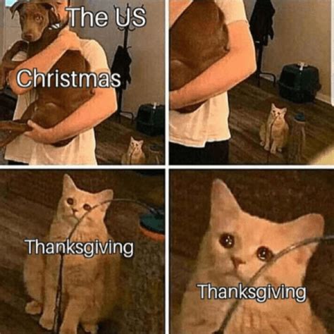13 Funny Thanksgiving Memes That Will Make You Laugh Society19