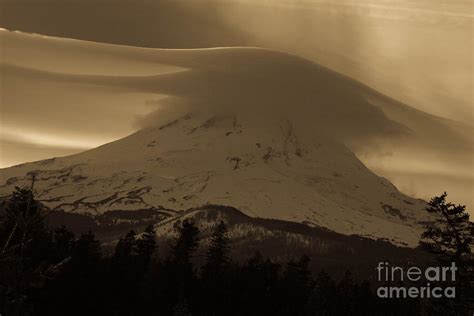 Mount Hood In The Clouds Photograph By Cari Gesch Fine Art America