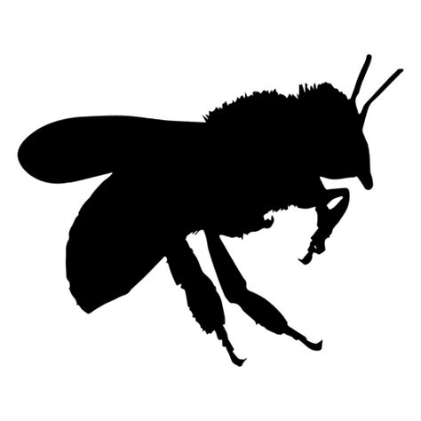 honey bee silhouette png and svg design for t shirts