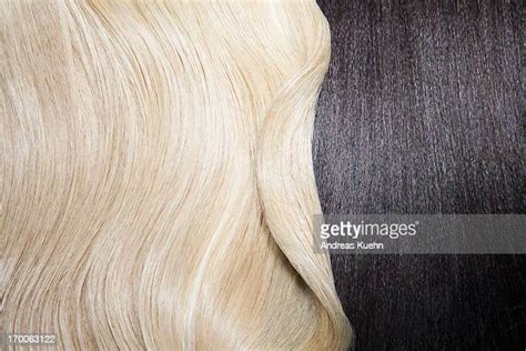 Shiny Blonde Hair Photos And Premium High Res Pictures Getty Images