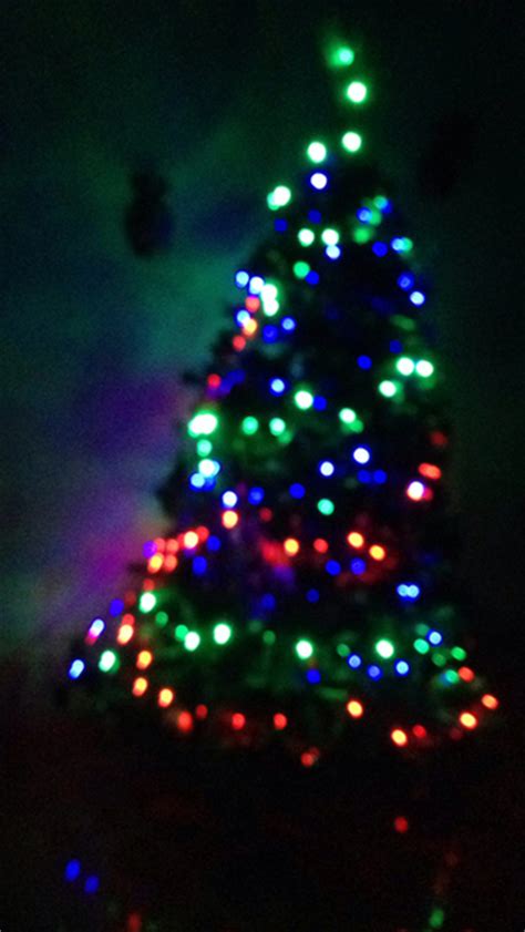 Decorated Christmas Tree In The Dark Pictures Photos And Images For