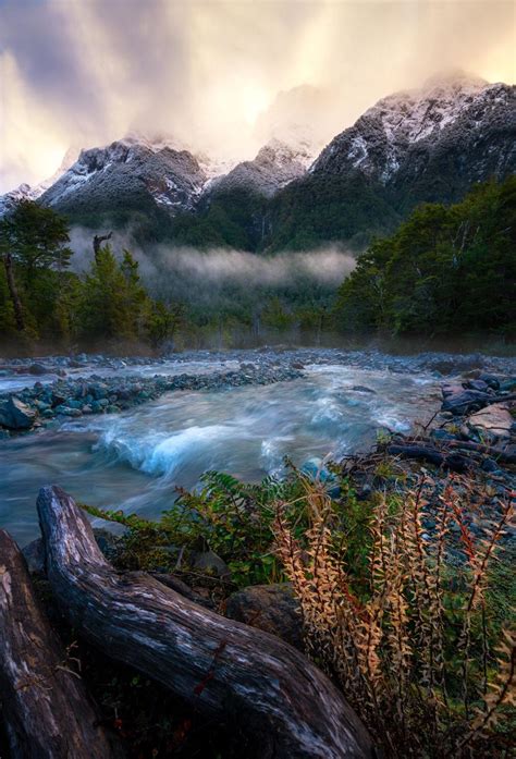 Temperate Rainforest To Snow Covered Peaks Fiordland New Zealand Oc