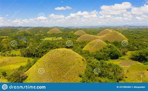 Chocolate Hillsbohol Philippines Stock Photo Image Of Farmland