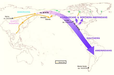 Single Migration From Siberia Peopled The Americas Scientists Say Sci News