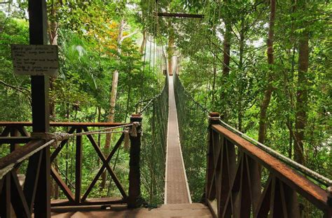 See more of taman negara pahang malaysia on facebook. Taman Negara | Een wondere wereld diep in de jungle - Reis ...