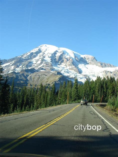 5 Best Things To Do At Paradise Mt Rainier